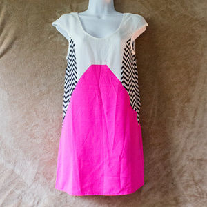 NWT Dress Neon Pink & Black & White stripe shift